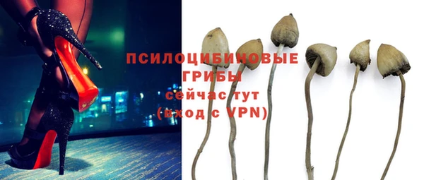 apvp Медвежьегорск
