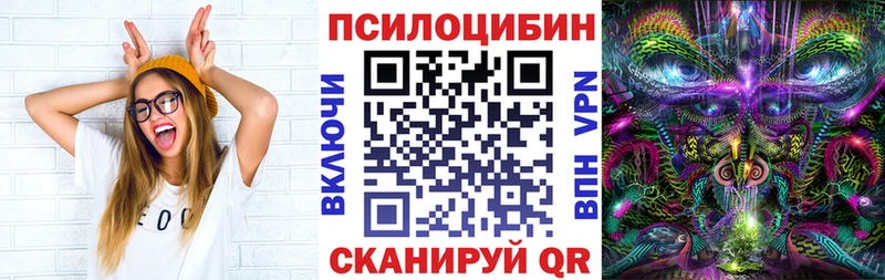 Псилоцибиновые грибы Psilocybine cubensis  Петрозаводск 